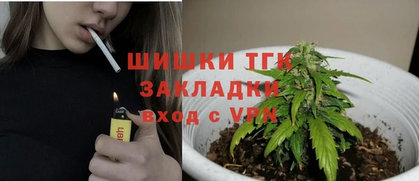 ГАЛЛЮЦИНОГЕННЫЕ ГРИБЫ Наволоки