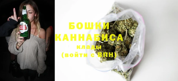 ГАЛЛЮЦИНОГЕННЫЕ ГРИБЫ Наволоки