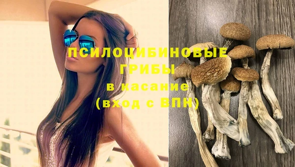 винт Надым