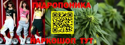 каннабис Камышлов