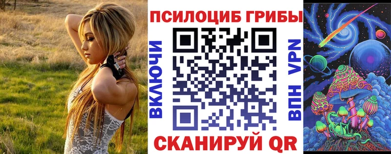 shop состав  Москва  Галлюциногенные грибы Psilocybe 