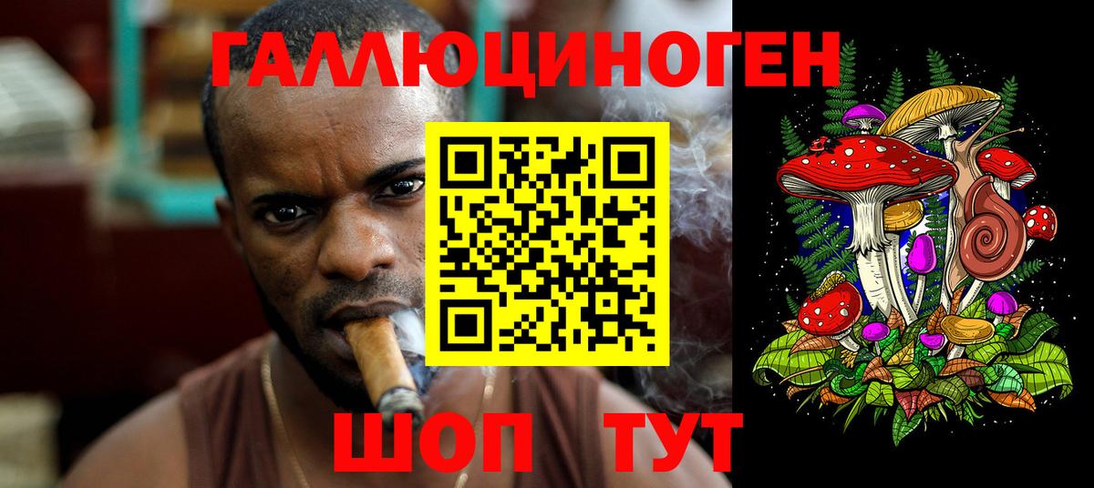 Псилоцибиновые грибы мицелий Москва
