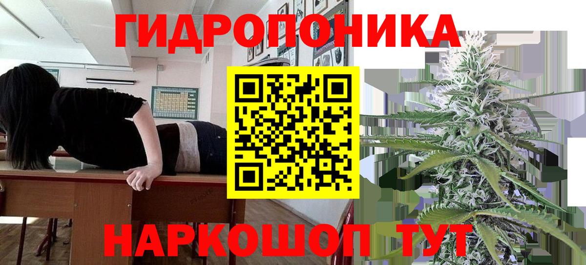 Каннабис семена Москва